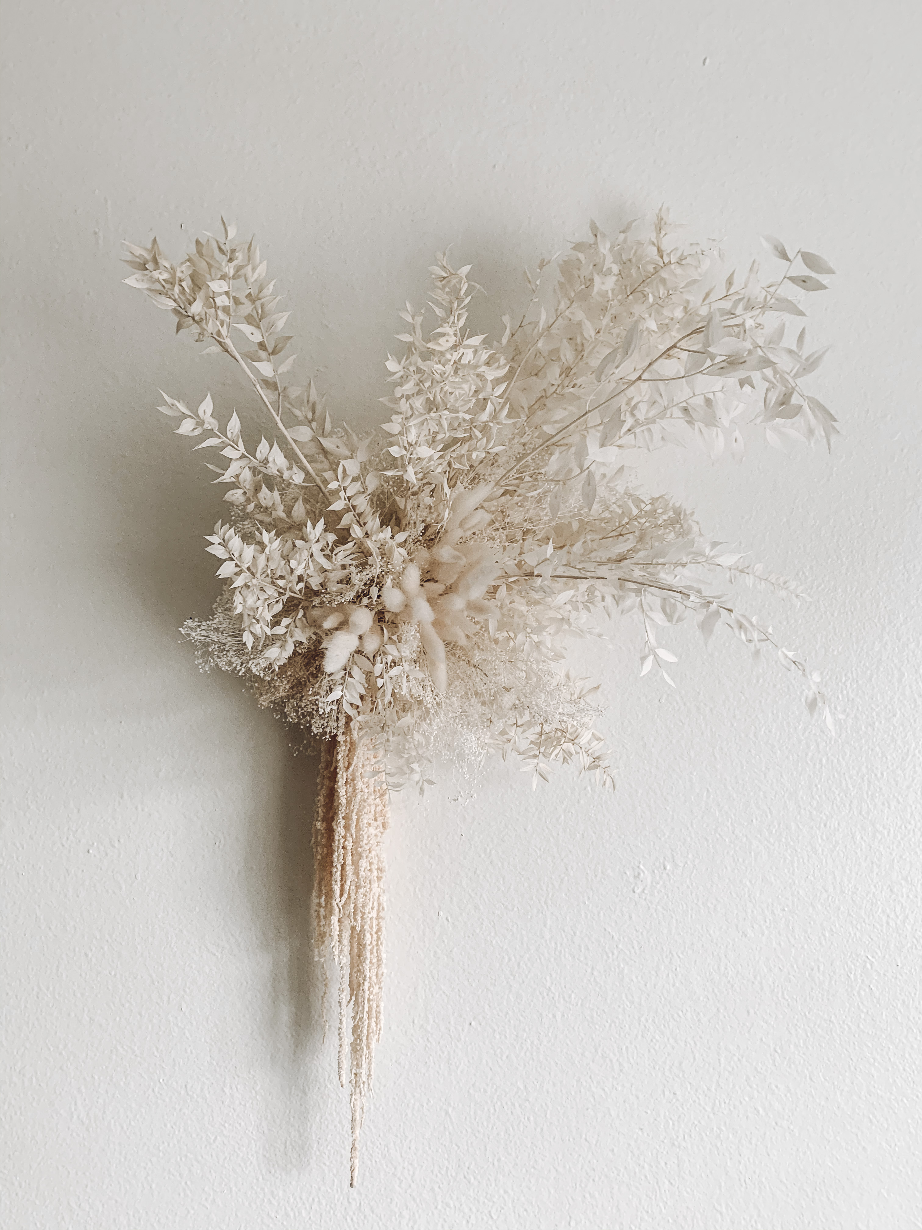 dried white forever flowers